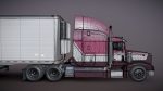 Peterbilt 377 refrigerated trailer